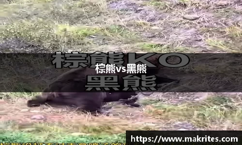 棕熊vs黑熊